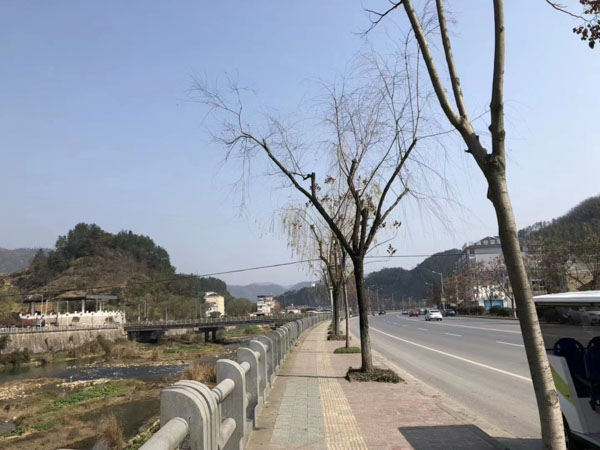 兒子繼承遺產是否需要幫助父母還賬？深圳知名婚姻律師帶您了解