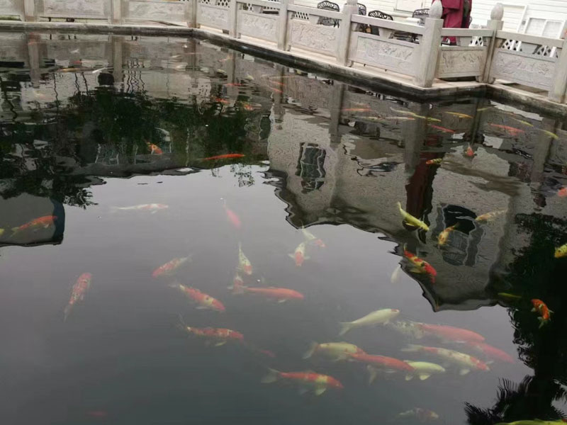 法律熱點:婚前男方父母買房是共同財產嗎？深圳婚姻律師來回答