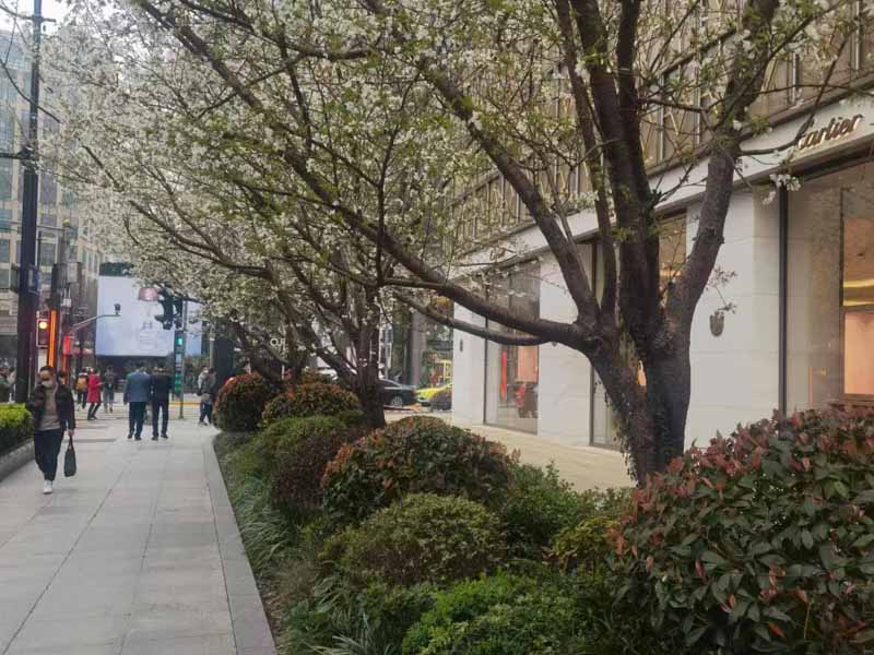 同居關系是否具有法律效力？深圳離婚律師講完您就明白啦