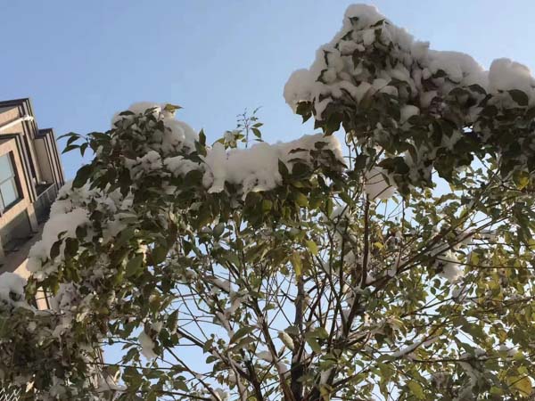 法院如何判孩子歸誰？深圳撫養權糾紛律師為您答疑解惑